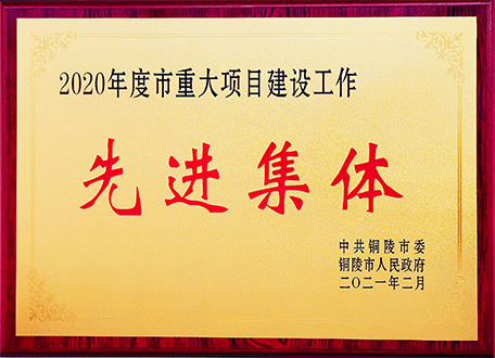 安徽富樂德長江半導(dǎo)體材料股份有限公司榮獲2020年度銅陵市重大項目建設(shè)工作先進(jìn)集體獎牌